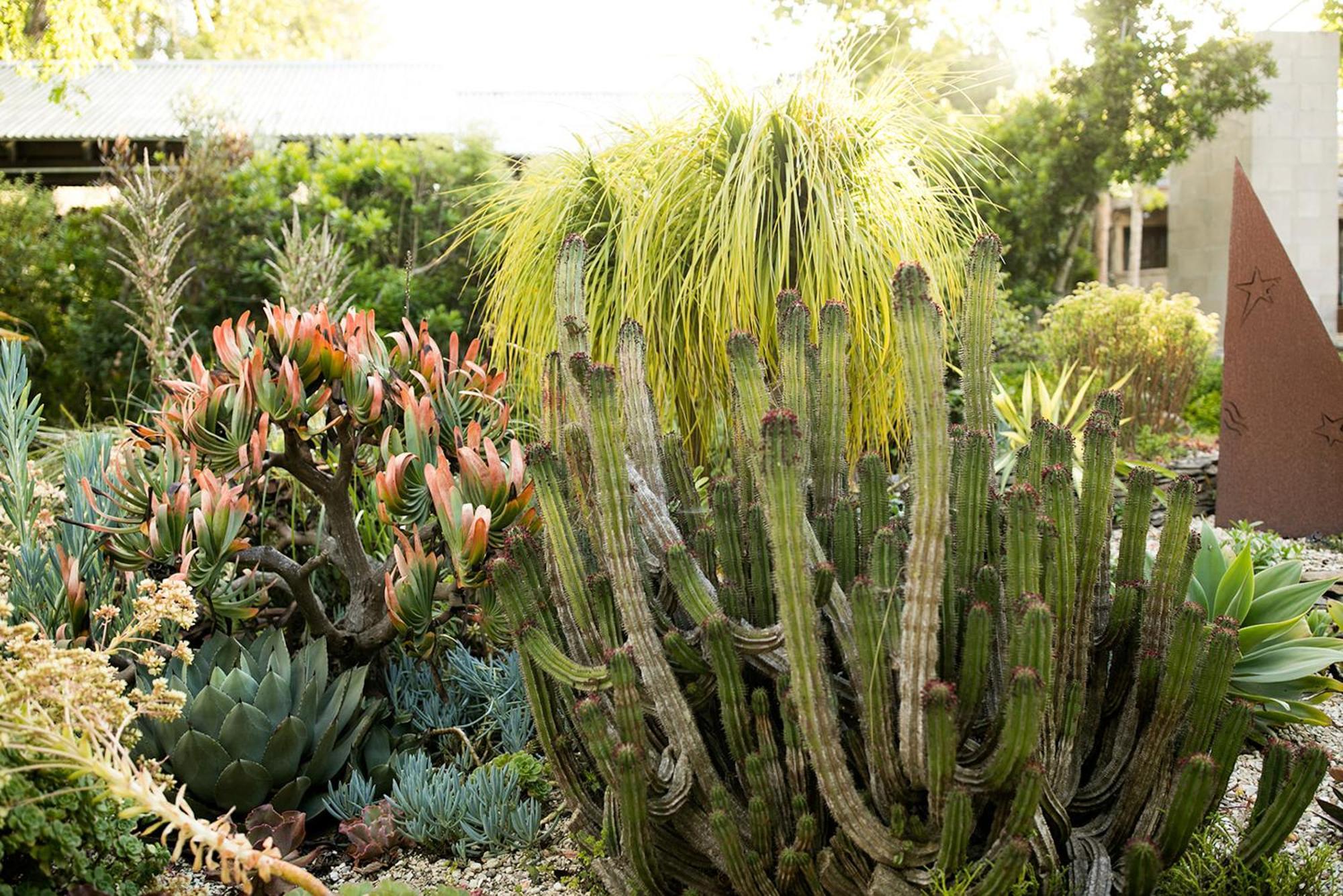 Cambria Pines Lodge Bagian luar foto